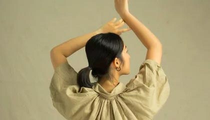 欧美在线 · 弹幕文化 速览