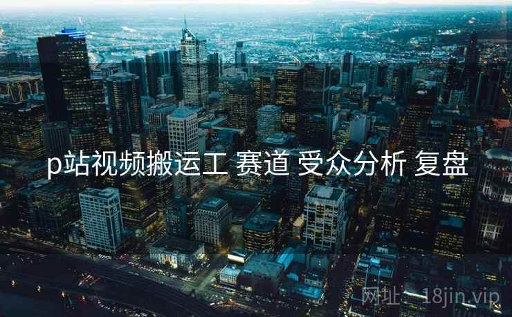 p站视频搬运工 赛道 受众分析 复盘