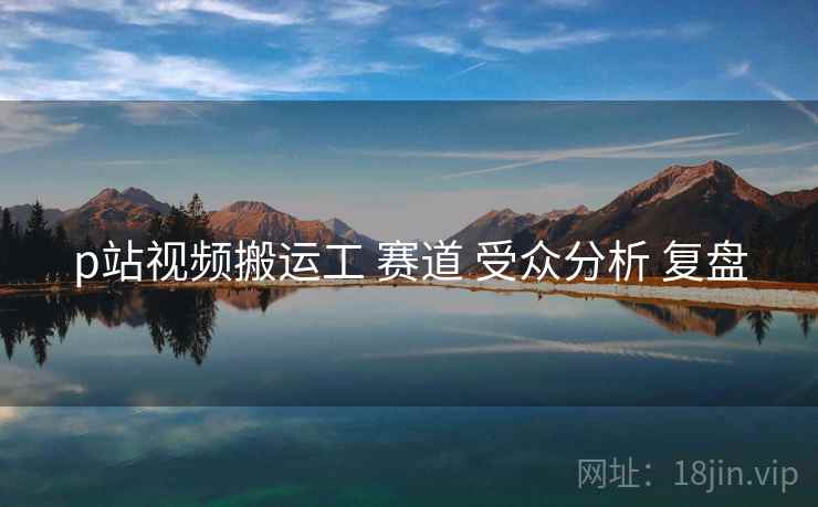 p站视频搬运工 赛道 受众分析 复盘