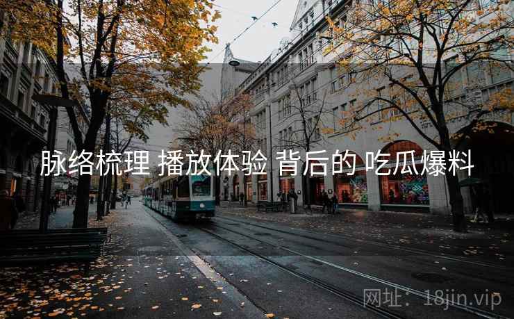 脉络梳理 播放体验 背后的 吃瓜爆料