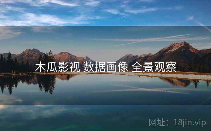 木瓜影视 数据画像 全景观察