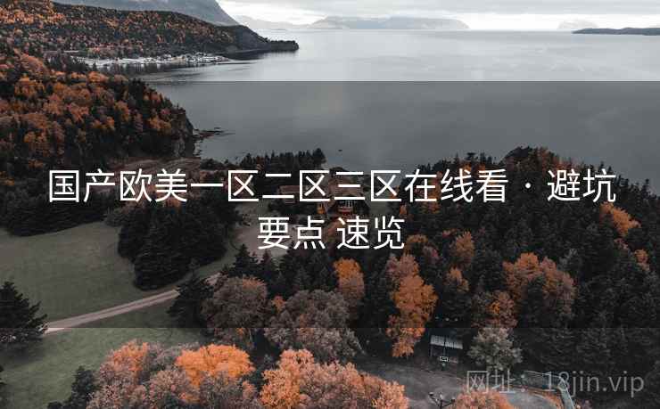 国产欧美一区二区三区在线看 · 避坑要点 速览