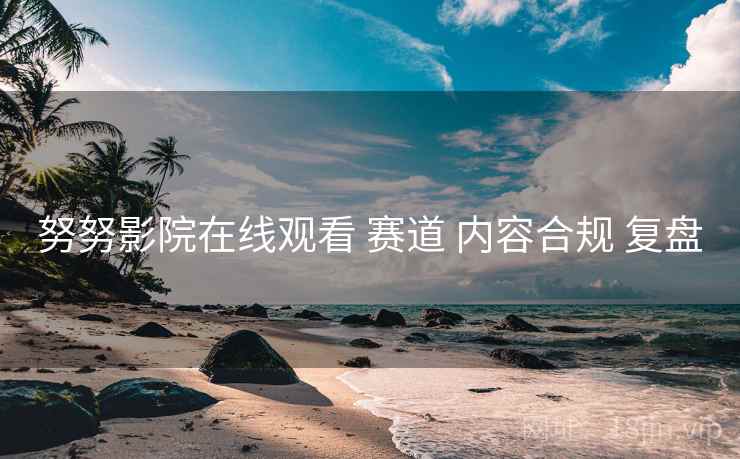 努努影院在线观看 赛道 内容合规 复盘