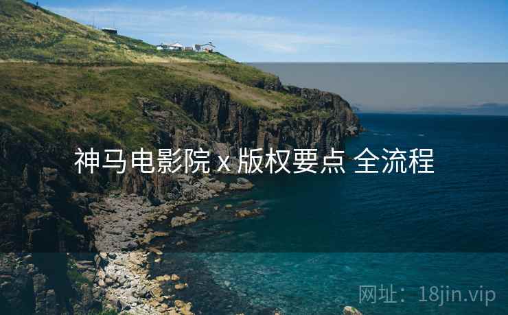 神马电影院 x 版权要点 全流程