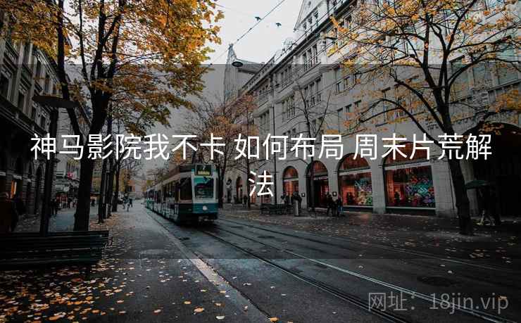 神马影院我不卡 如何布局 周末片荒解法
