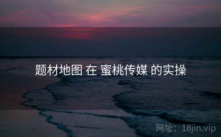 题材地图 在 蜜桃传媒 的实操