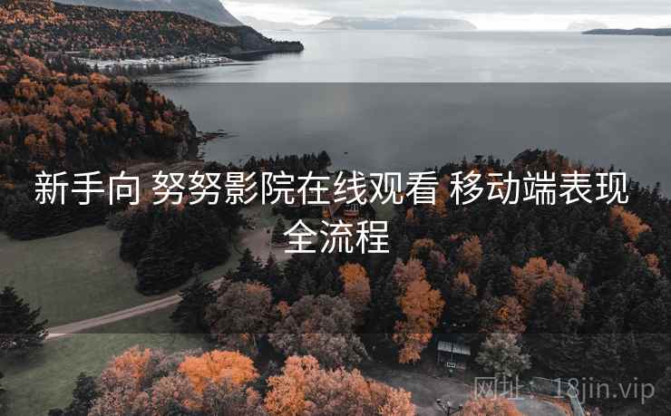 新手向 努努影院在线观看 移动端表现 全流程