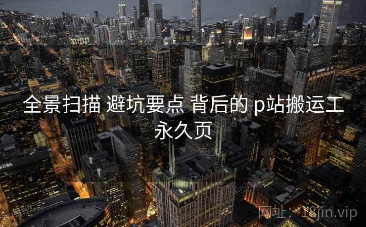 全景扫描 避坑要点 背后的 p站搬运工永久页
