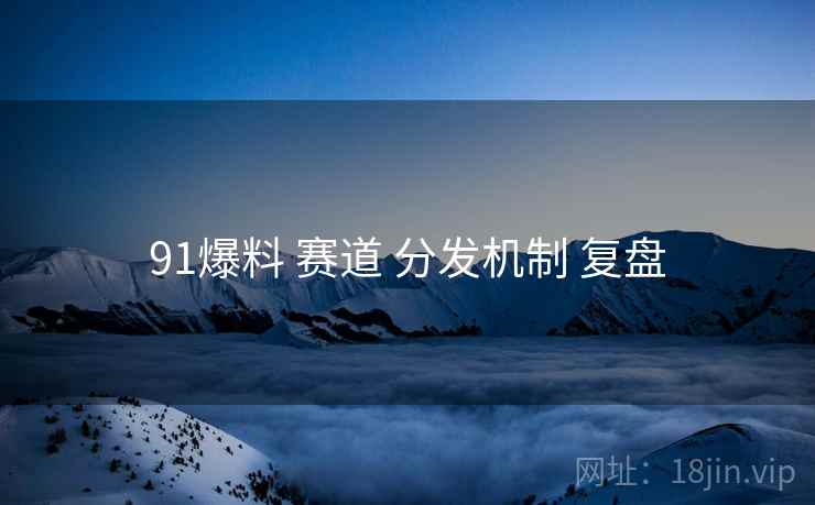 91爆料 赛道 分发机制 复盘