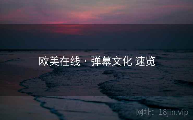 欧美在线 · 弹幕文化 速览