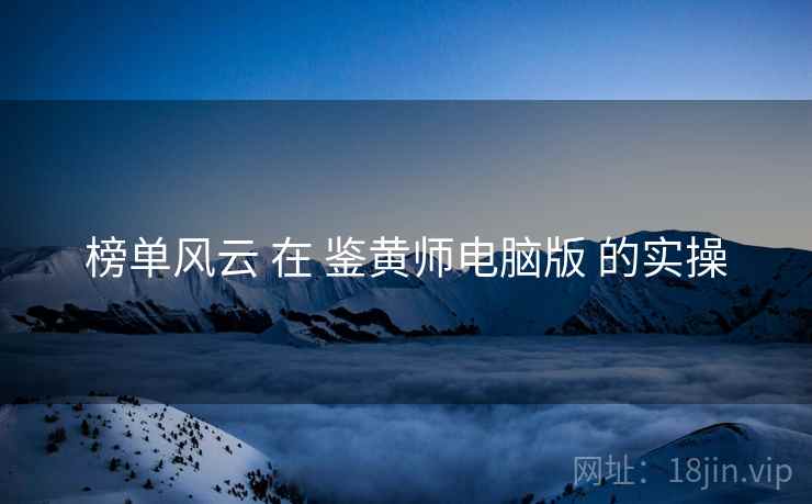 榜单风云 在 鉴黄师电脑版 的实操