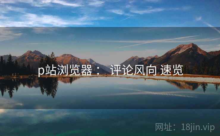 p站浏览器 ： 评论风向 速览