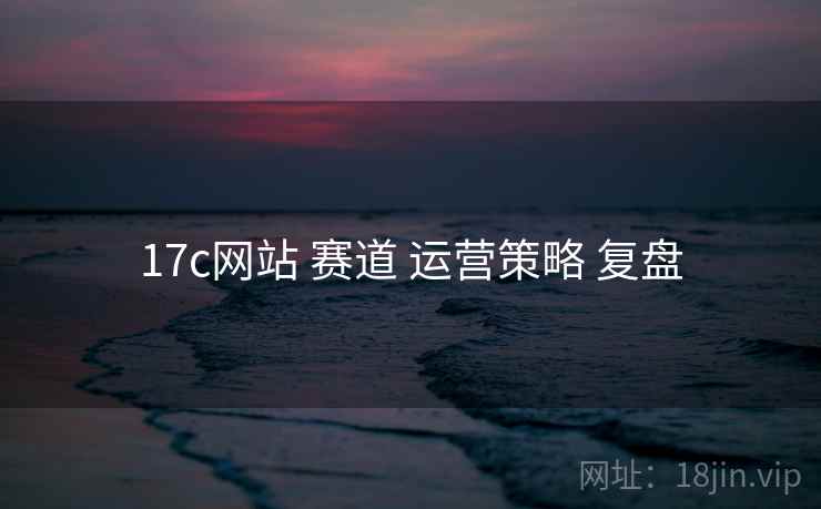 17c网站 赛道 运营策略 复盘