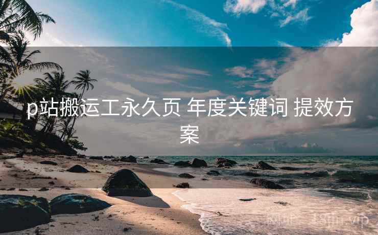 p站搬运工永久页 年度关键词 提效方案