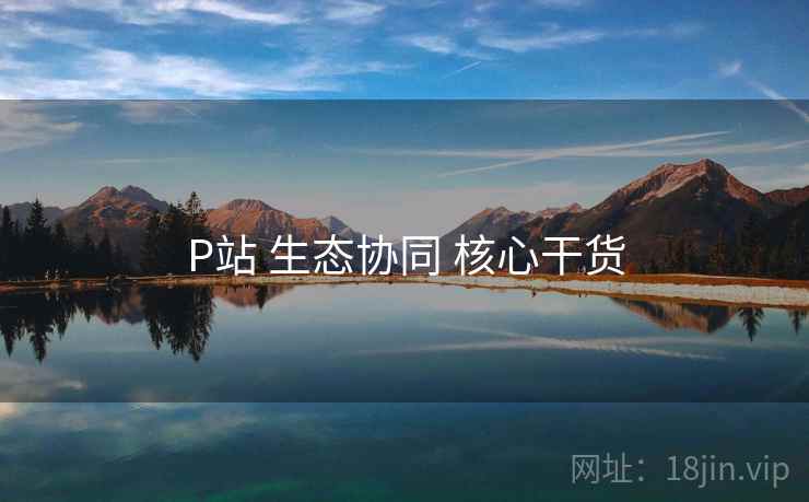 P站 生态协同 核心干货 P站 生态协同 核心干货