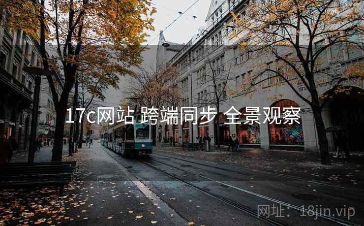 17c网站 跨端同步 全景观察