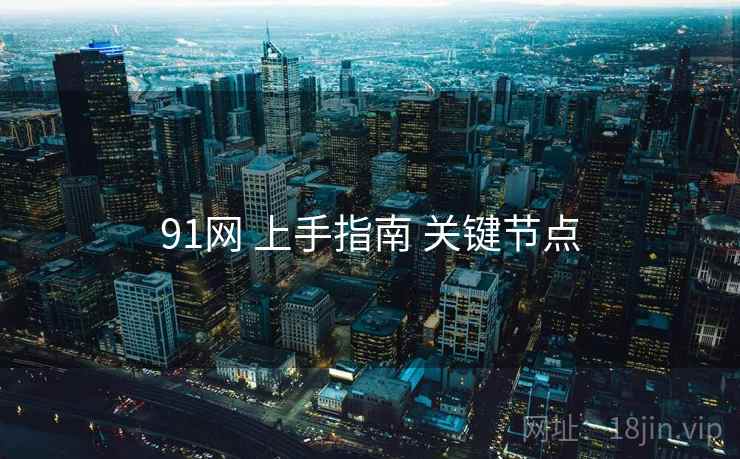 91网 上手指南 关键节点
