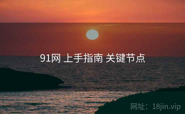 91网 上手指南 关键节点