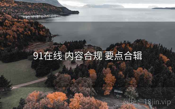 91在线 内容合规 要点合辑