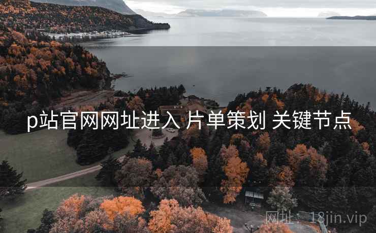 p站官网网址进入 片单策划 关键节点